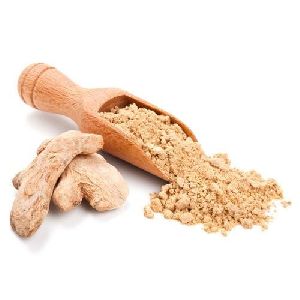 Spray Dried Ginger Powder