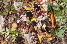 Organic Waste Decomposition