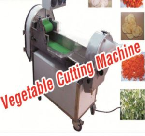 Vegetable Cutting Machine