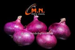 Fresh Red Onion