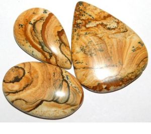 picture jasper