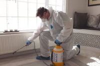 residential pest control services