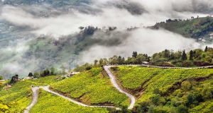 Darjeeling Tour Package