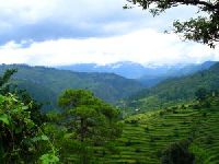 ranikhet tour