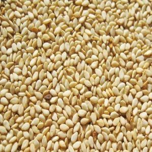 Golden Yellow Sesame Seeds