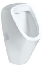 Wall Mounted Urinal