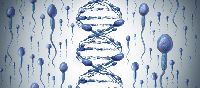 DNA Fragmentation Index