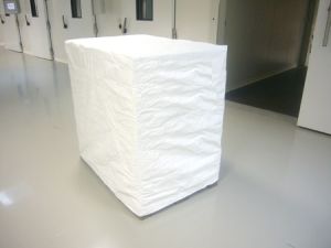 shrink wrapping services