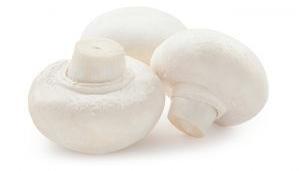 White Mushroom