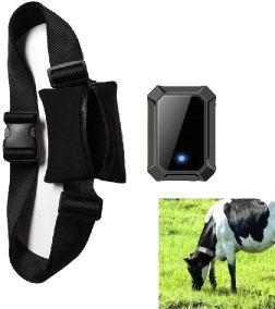 GPS TRACKER FOR BUFFALO AND COW