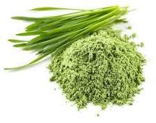 Wheatgrass Powder