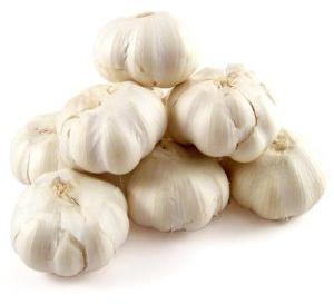 Fresh Garlic