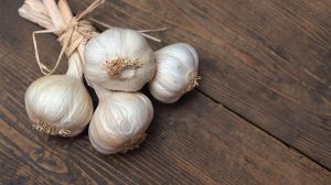 Fresh Garlic