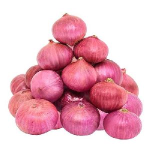 Fresh Pink Onion