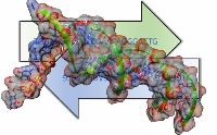 Bioinformatics- Instructor Led Online Training