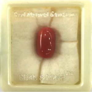 Red Coral Gemstone