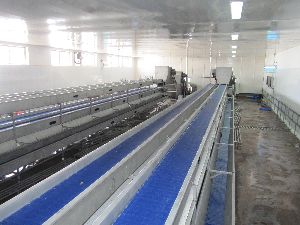 SS Vegetables & Fruits Handling Conveyor