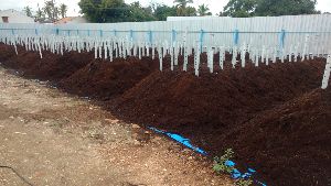 coco peat compost