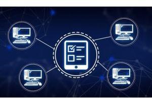 Questionnaire Data Entry Project