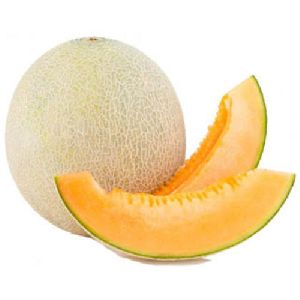 Muskmelon Fruits