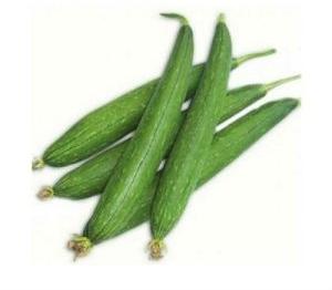 Sponge Gourd