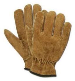 IL-16 Winter Gloves