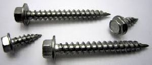 Self Tapping Screws