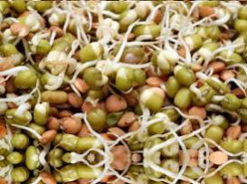 Moong Bean Sprouts