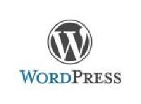 Wordpress Website Development Services