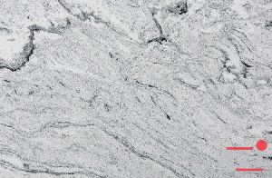 Viscont White Granite Slab