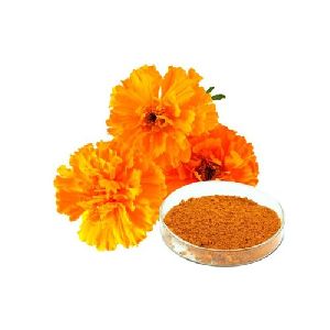 marigold extract powder