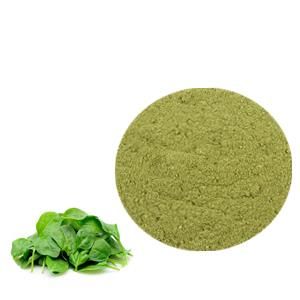 SPINACH EXTRACT