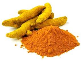 Turmeric Extract Powder