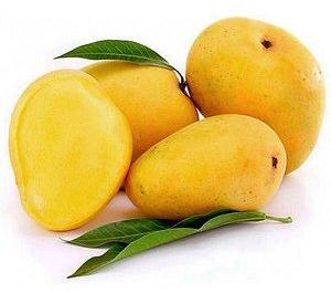 Indian Mango