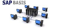 SAP Basis (Business Application Software Integrated Solution) Training