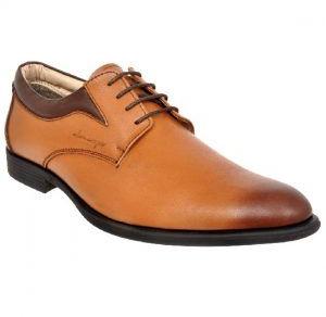 ACFS-8070 Allen Cooper Genuine Leather Formal Shoes