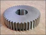 Spur Gear