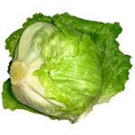 Fresh Lettuce