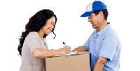 Business and Medical Courier Services