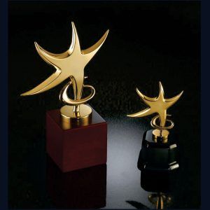 Gold & Silver Star Metal Trophy