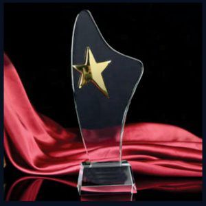 Gold Star Engraved Crystal Trophy