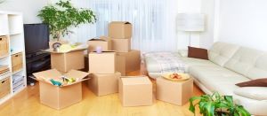 Domestic Moving Service