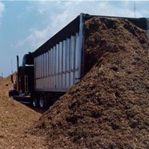 Bagasse Transport Services