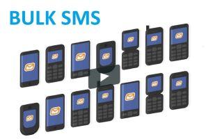 SMS Email Services