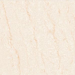 8017 Nano Soluble Salt Vitrified Tiles