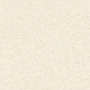 8019 Nano Soluble Salt Vitrified Tiles