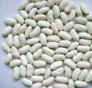 White Kidney Beans