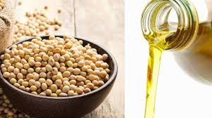 Hybrid Soybean Oil