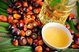 Natural Palm Oil