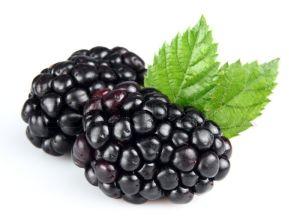 Fresh Natural Blackberry